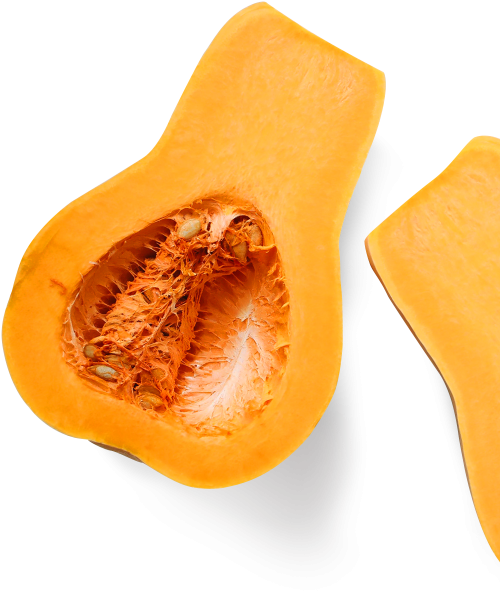 Home 77 home videos e1024f41